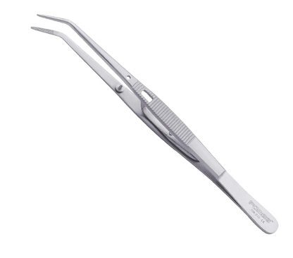 College Plier 6" Stainless Steel