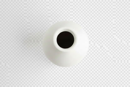 Saliva Ejector Valves